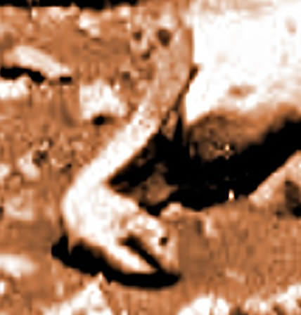 Mars-paranormaaliblogi3